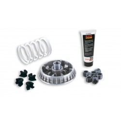 Malossi 5114260 Variatore...