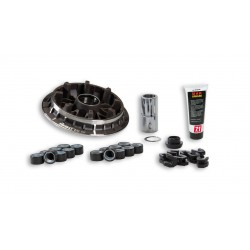 Malossi 5118054 Variatore...