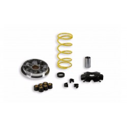 Malossi 517128 Variatore...