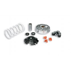 Malossi 519019 Variatore...