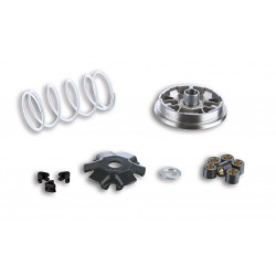 Malossi 5113363 Variatore...