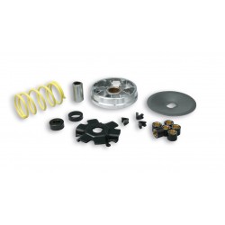 Malossi 513863 Variatore...