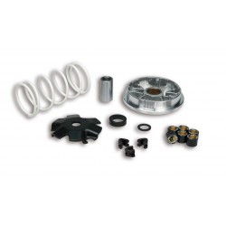 Malossi 5113603 Variatore...