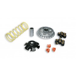 Malossi 5113892 Variatore...