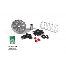 Malossi 517075 Variatore...