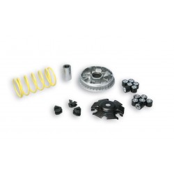 Malossi 5113134 Variatore...