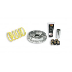 Malossi 5111225 Variatore...