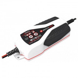 Sirius 2 electromem...